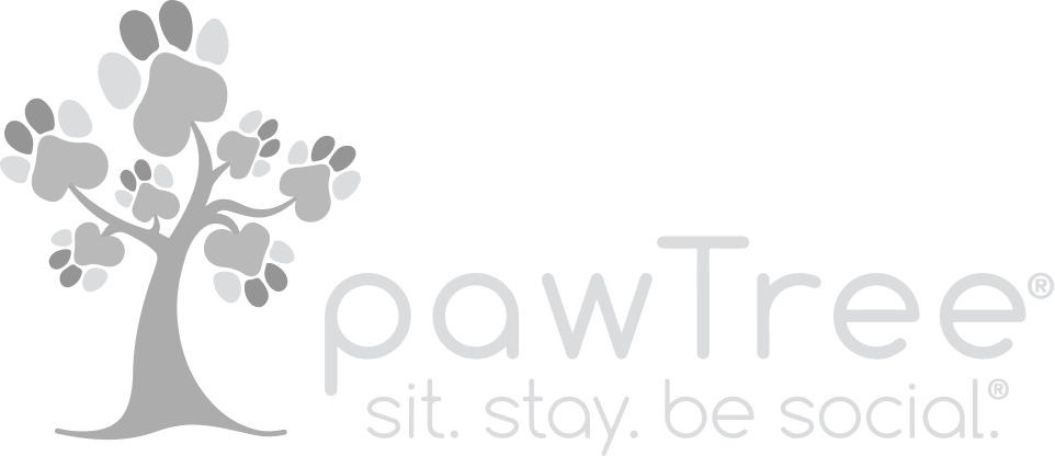 pawtree_34a5f86887_002